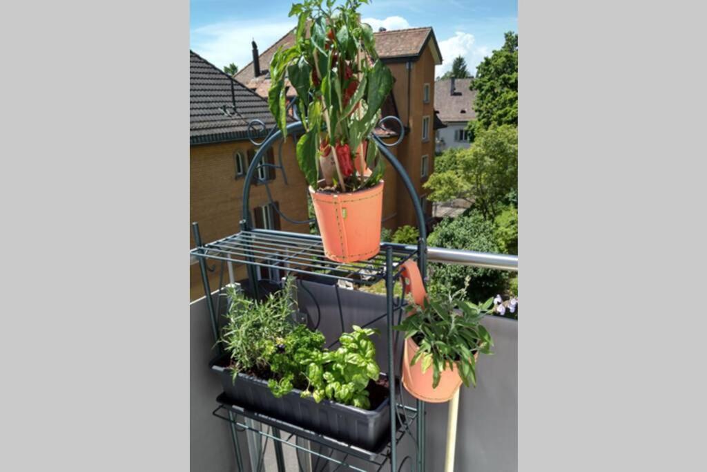 Turicum Apartment Mit Balkon Und Parkplatz Zurigo Esterno foto